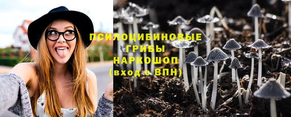 a pvp Краснослободск