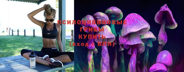 a pvp Краснослободск