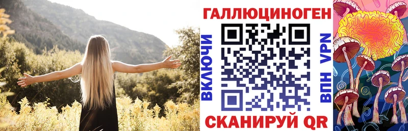 продажа наркотиков  дарк нет состав  Псилоцибиновые грибы Psilocybine cubensis  Стерлитамак 